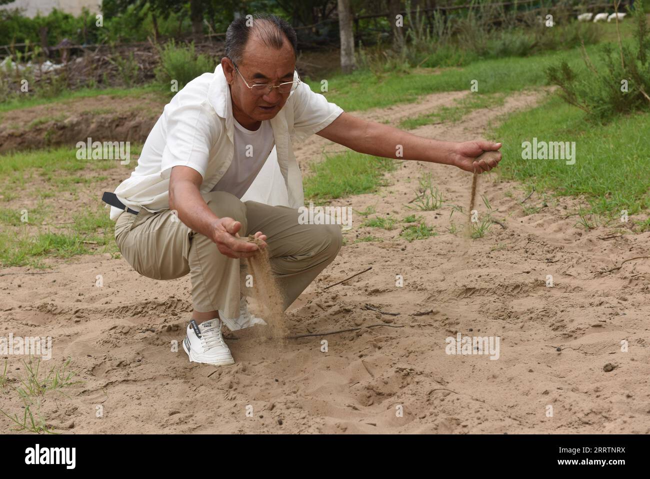 230803 -- TONGLIAO, 3 agosto 2023 -- Bai Shun si accosta su un sentiero in una foresta, dove era sabbiosa, a Bulteger Gacha, Horqin ala sinistra bandiera posteriore di Tongliao City, regione autonoma della Mongolia interna della Cina settentrionale, 2 agosto 2023. Situato nel centro della Horqin Sandy Land, Bulteger Gacha, un piccolo villaggio nella bandiera posteriore dell'ala sinistra di Horqin della città di Tongliao, soffriva di desertificazione. Dal 2002, Bai Shun, un contadino mongolo locale, ha portato la sua famiglia a radicare in questo villaggio e a dedicarsi al controllo della desertificazione. Il tasso di sopravvivenza degli alberi piantati era basso all'inizio Foto Stock