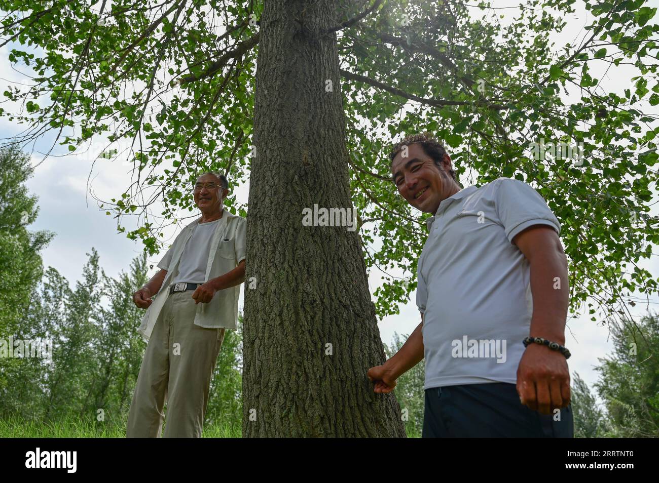 230803 -- TONGLIAO, 3 agosto 2023 -- Bai Shun L e suo figlio posano per le foto con il primo albero piantato a Bulteger Gacha, Horqin ala sinistra bandiera posteriore di Tongliao City, regione autonoma della Mongolia interna della Cina settentrionale, 2 agosto 2023. Situato nel centro della Horqin Sandy Land, Bulteger Gacha, un piccolo villaggio nella bandiera posteriore dell'ala sinistra di Horqin della città di Tongliao, soffriva di desertificazione. Dal 2002, Bai Shun, un contadino mongolo locale, ha portato la sua famiglia a radicare in questo villaggio e a dedicarsi al controllo della desertificazione. Il tasso di sopravvivenza degli alberi piantati era basso a. Foto Stock