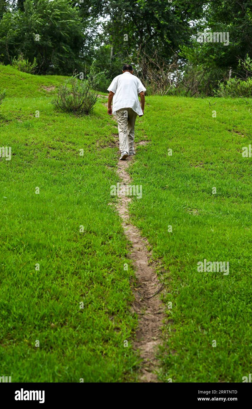 230803 -- TONGLIAO, 3 agosto 2023 -- Bai Shun Walks on a path to a Forest in Bulteger Gacha, Horqin Left Wing Rear Banner of Tongliao City, North China S Inner Mongolia Autonomous Region, 2 agosto 2023. Situato nel centro della Horqin Sandy Land, Bulteger Gacha, un piccolo villaggio nella bandiera posteriore dell'ala sinistra di Horqin della città di Tongliao, soffriva di desertificazione. Dal 2002, Bai Shun, un contadino mongolo locale, ha portato la sua famiglia a radicare in questo villaggio e a dedicarsi al controllo della desertificazione. Il tasso di sopravvivenza degli alberi piantati era basso all'inizio a causa della mancanza di experi Foto Stock