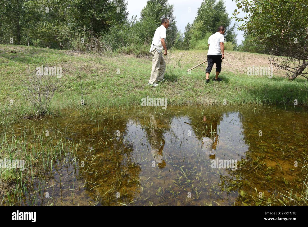 230803 -- TONGLIAO, 3 agosto 2023 -- Bai Shun L e suo figlio pattugliano una foresta a Bulteger Gacha, Horqin ala sinistra bandiera posteriore della città di Tongliao, regione autonoma della Mongolia interna della Cina settentrionale, 2 agosto 2023. Situato nel centro della Horqin Sandy Land, Bulteger Gacha, un piccolo villaggio nella bandiera posteriore dell'ala sinistra di Horqin della città di Tongliao, soffriva di desertificazione. Dal 2002, Bai Shun, un contadino mongolo locale, ha portato la sua famiglia a radicare in questo villaggio e a dedicarsi al controllo della desertificazione. Il tasso di sopravvivenza degli alberi piantati era basso all'inizio a causa della mancanza di espirazioni Foto Stock