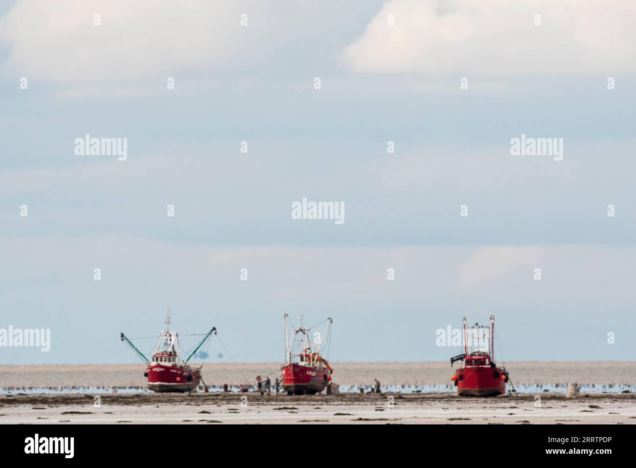 Le barche dei molluschi hanno spiaggiato il Wash per raccogliere i galletti durante la bassa marea. Le barche partono alla prossima alta marea. Foto Stock
