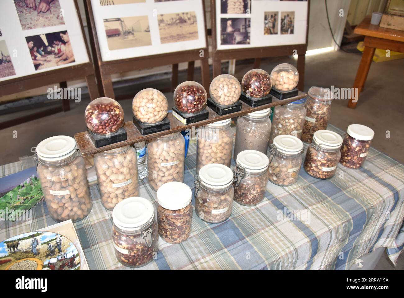 Yuma, AZ USA 14/3/2023. Patch di arachidi per grandi e piccini. Unitevi a noi in un tour. I nostri meravigliosi tour sono il martedì e il venerdì alle 10:00. Foto Stock