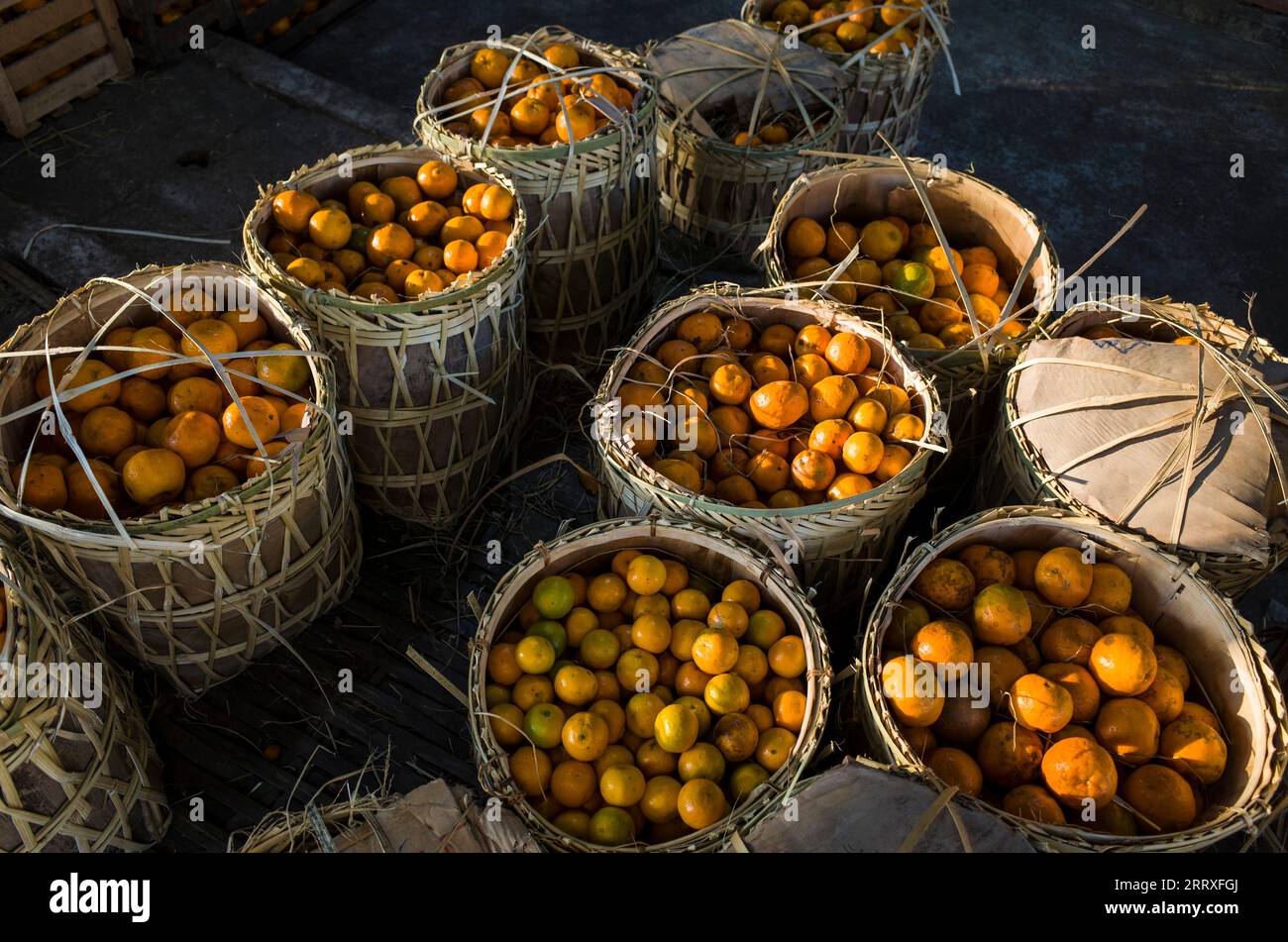 Frutti freschi di mandarino o mandarini in cesti di bambù di vimini da vendere al mercato di Zay Cho in Mandalay, Foto Stock