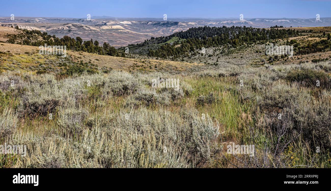Fossil Butte National Monument Vista, Wyoming Foto Stock