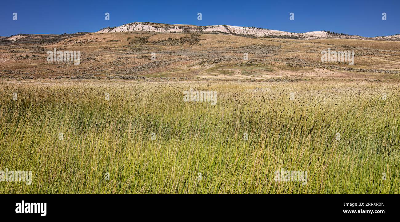 Fossil Butte National Monument, Wyoming Foto Stock