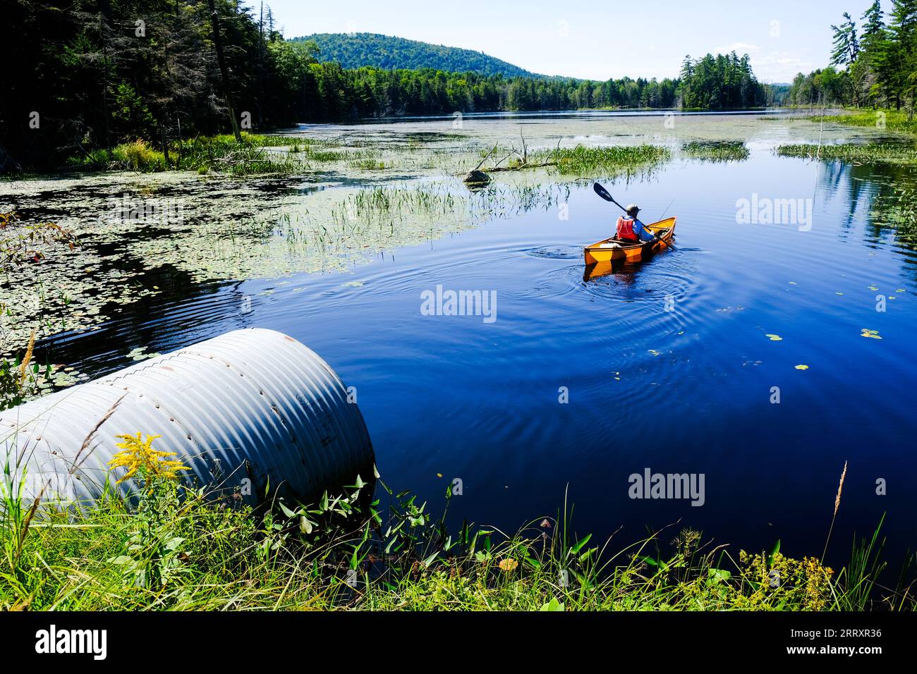 Canottaggio nelle Adirondack Mountains dello Stato di New York, USA, Essex Chain Lakes vicino a Newcomb, NY, USA. Foto Stock