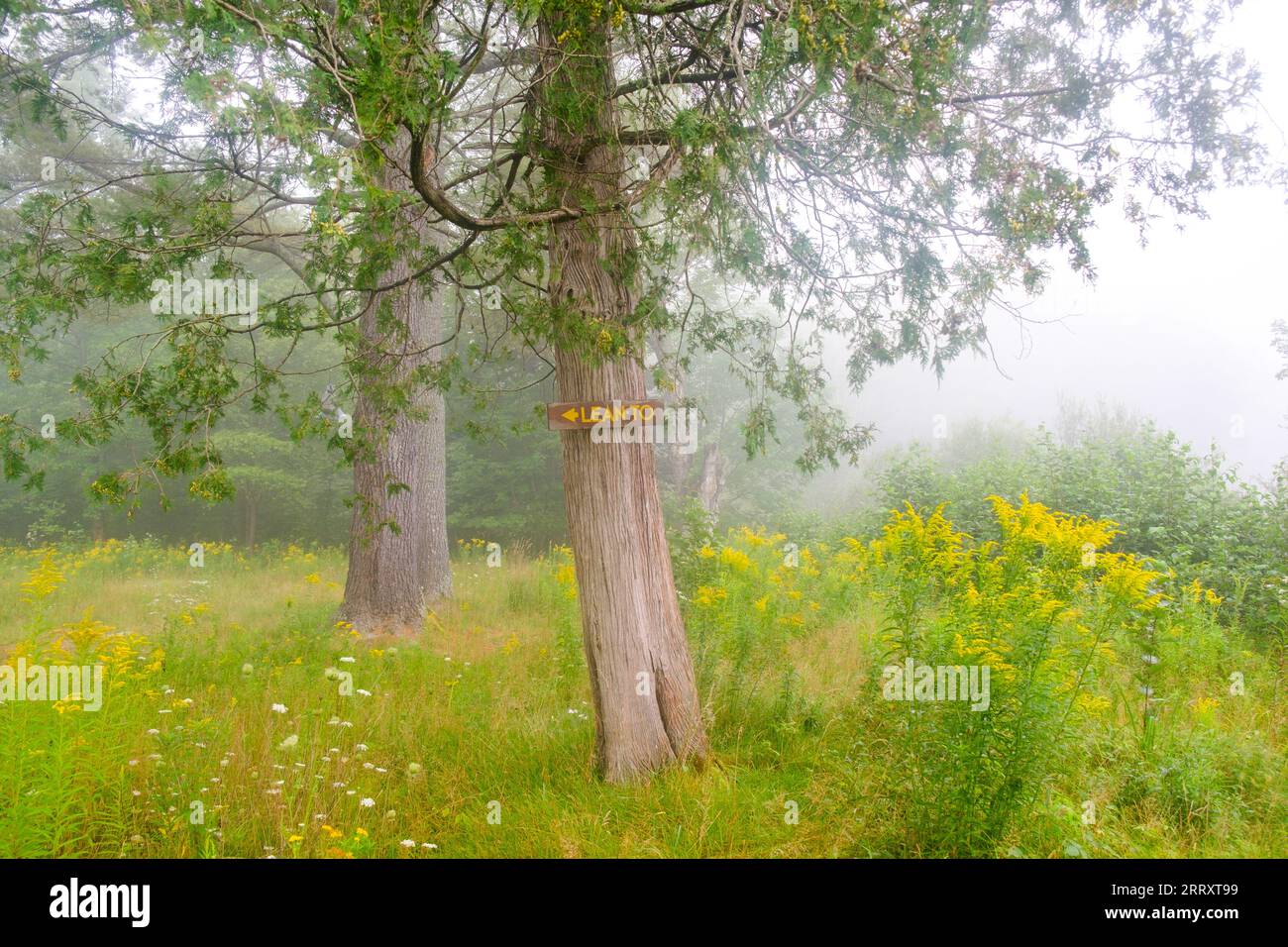 Segui le indicazioni per Adirondack Lean-to Canoeing nelle Adirondack Mountains dello stato di New York, USA, Essex Chain Lakes vicino a Newcomb, NY, USA. Foto Stock