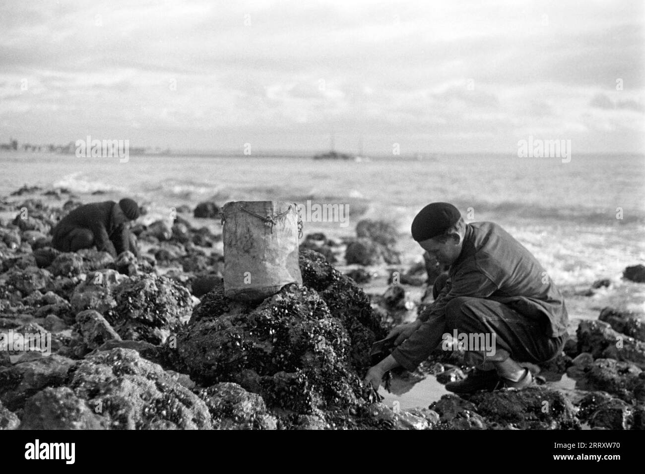 Muschelernter am Strand von le Havre, 1940. Raccoglitrice di conchiglie sulla spiaggia di le Havre, 1940. Foto Stock
