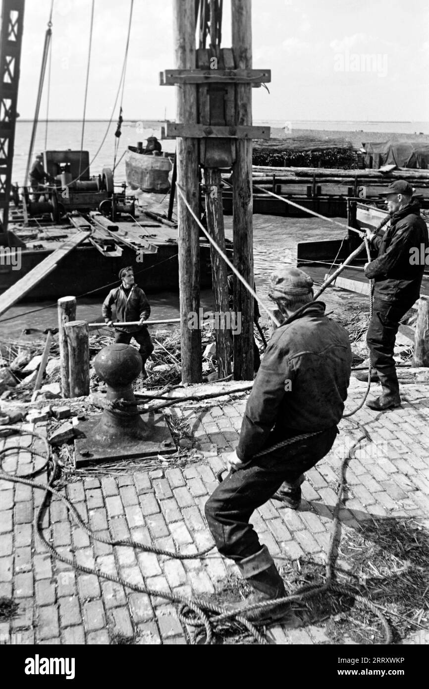 Teamarbeit auf der Baustelle von Lelystadhaven, 1955. Lavoro di squadra presso il cantiere di Lelystadhaven, 1955. Foto Stock