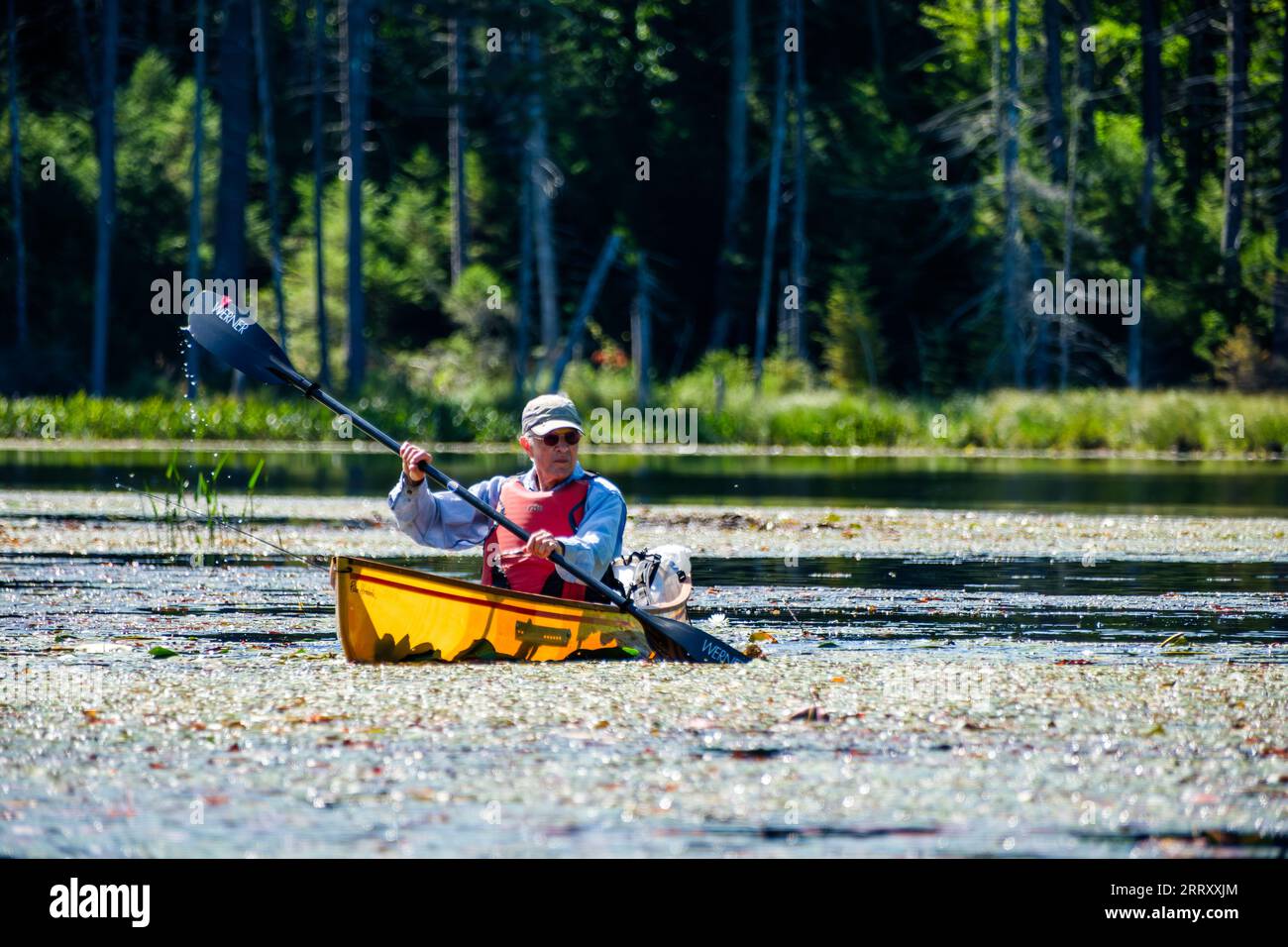 Canottaggio nelle Adirondack Mountains dello Stato di New York, USA, Essex Chain Lakes vicino a Newcomb, NY, USA. Foto Stock