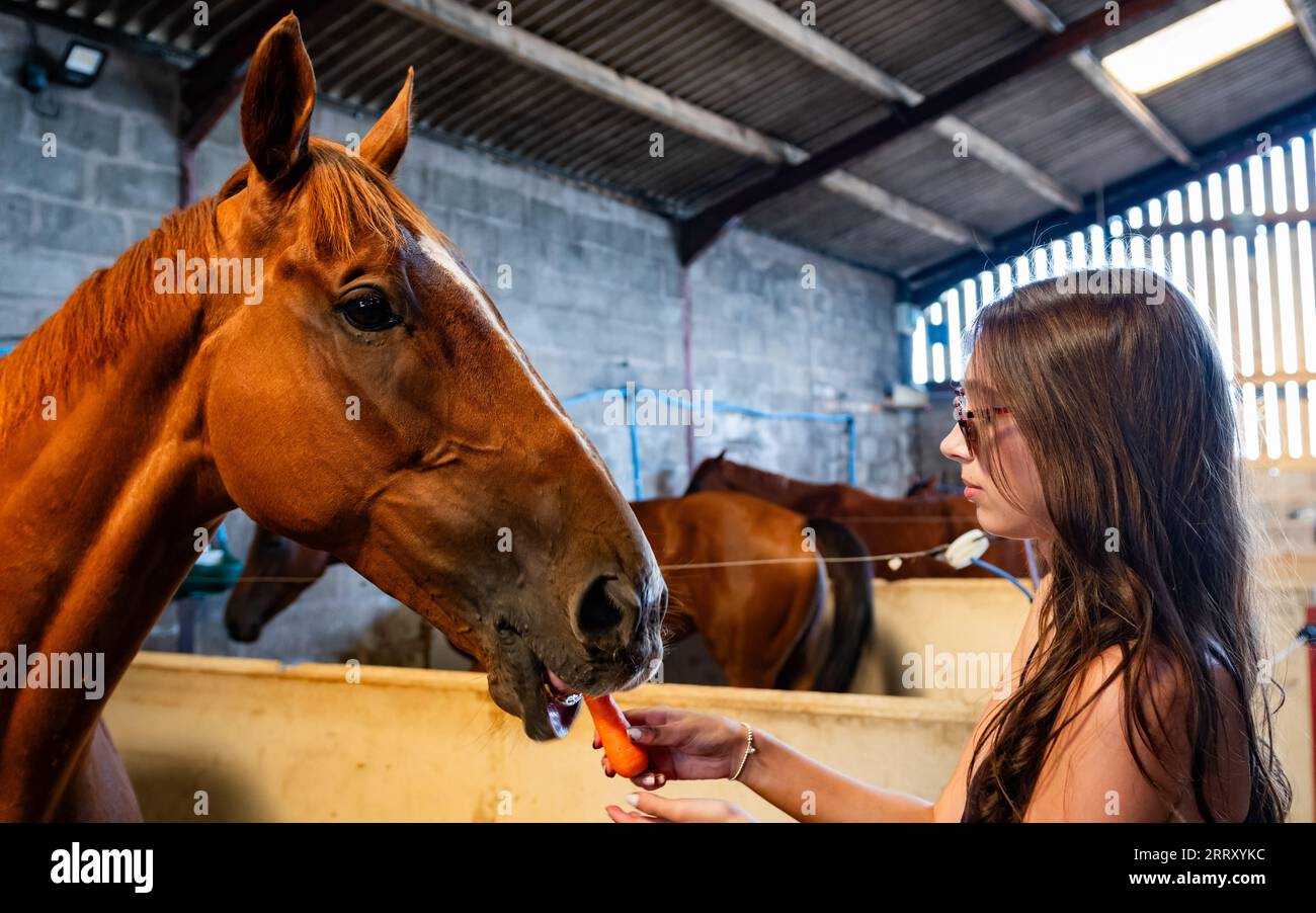 Malpas, Cheshire, Regno Unito, sabato 9 settembre 2023. La National Race Horse Week 2023 (NRW) prende il via sabato 9 settembre 2023 a Stockton Hall, Malpas, Cheshire, casa di Oliver Greenall e Josh Guerriero. Credito immagini equine JTW / Alamy Live News Foto Stock