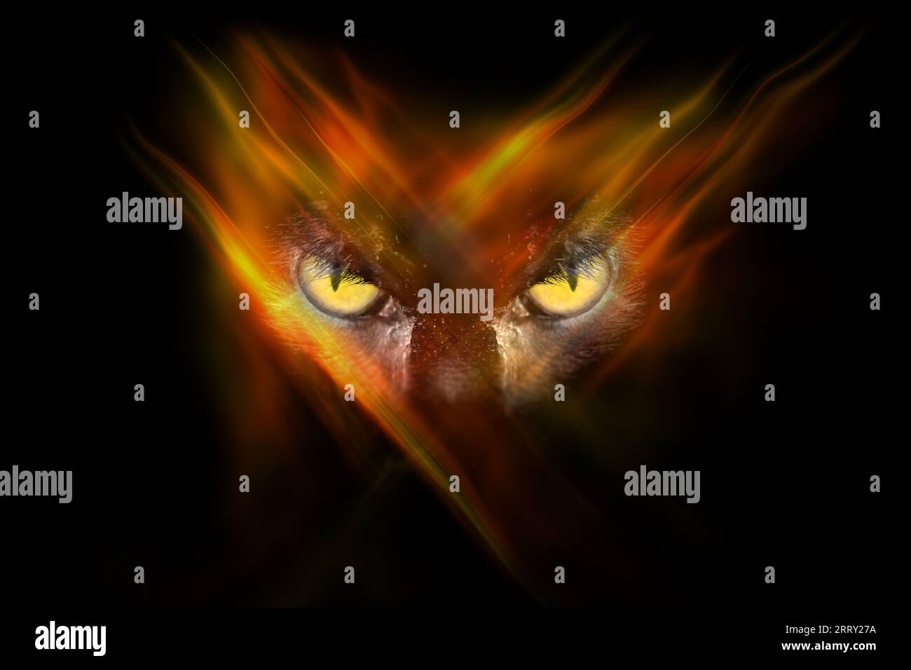 Occhi di animali malvagi che ti guardano dall'oscurità con una grafica incandescente che attraversa il volto e lo slogan di Hunter Foto Stock