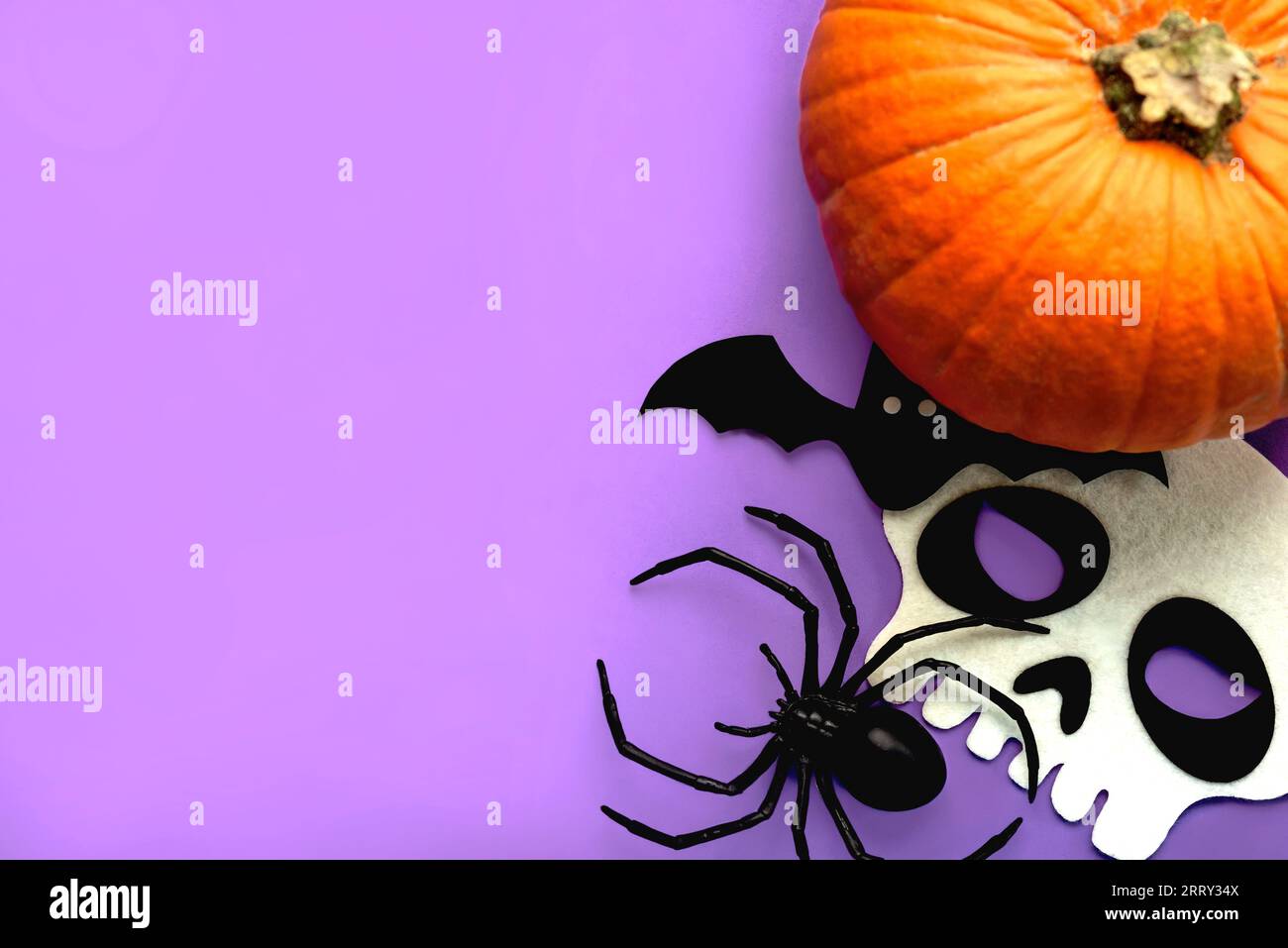Sfondo del concetto di Halloween. Vista dall'alto del cranio, della zucca di halloween, del ragno e del vampiro con spazio per il testo su sfondo viola. Decorazioni per feste di Halloween Foto Stock