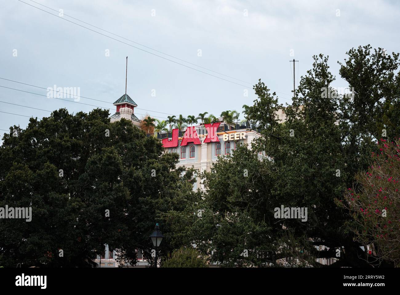 Il birrificio Jax ha illuminato un cartello tra gli alberi, di fronte al cielo nuvoloso della sera Foto Stock