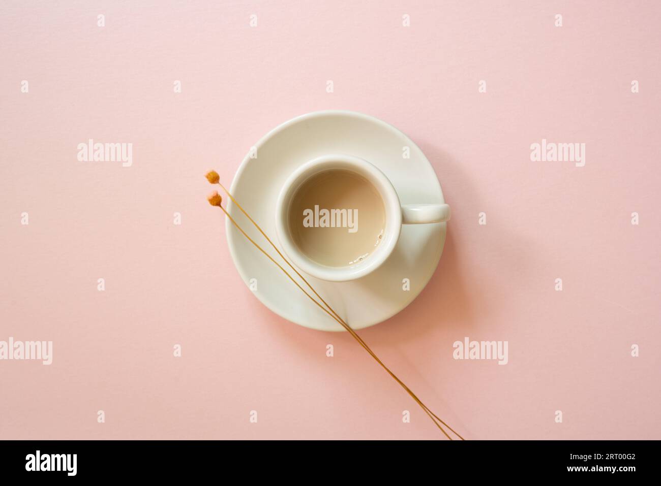 Tazza di caffè bianco con fiore secco su sfondo rosa. vista dall'alto Foto Stock