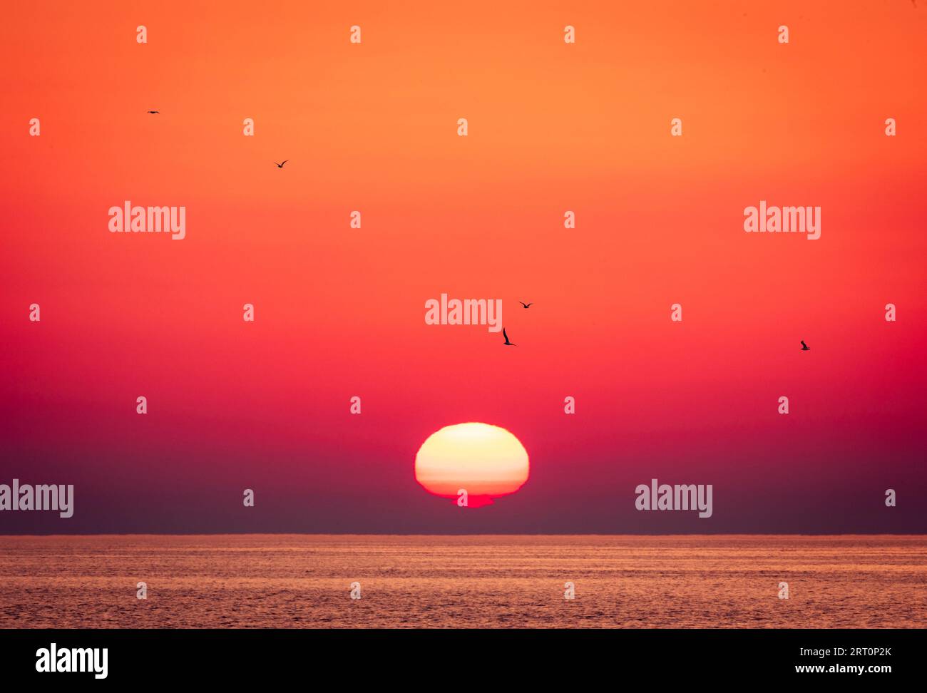 Settembre alba dal lungomare di Hastings sulla costa orientale del Sussex, Inghilterra sud-orientale, Regno Unito Foto Stock