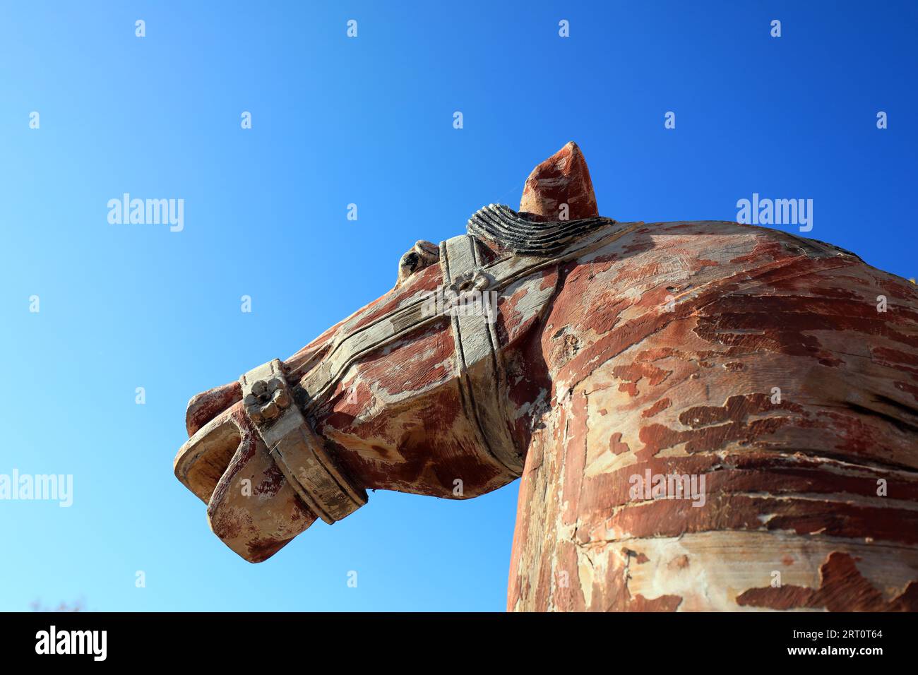 Dipingere la testa di cavallo immagini e fotografie stock ad alta  risoluzione - Alamy
