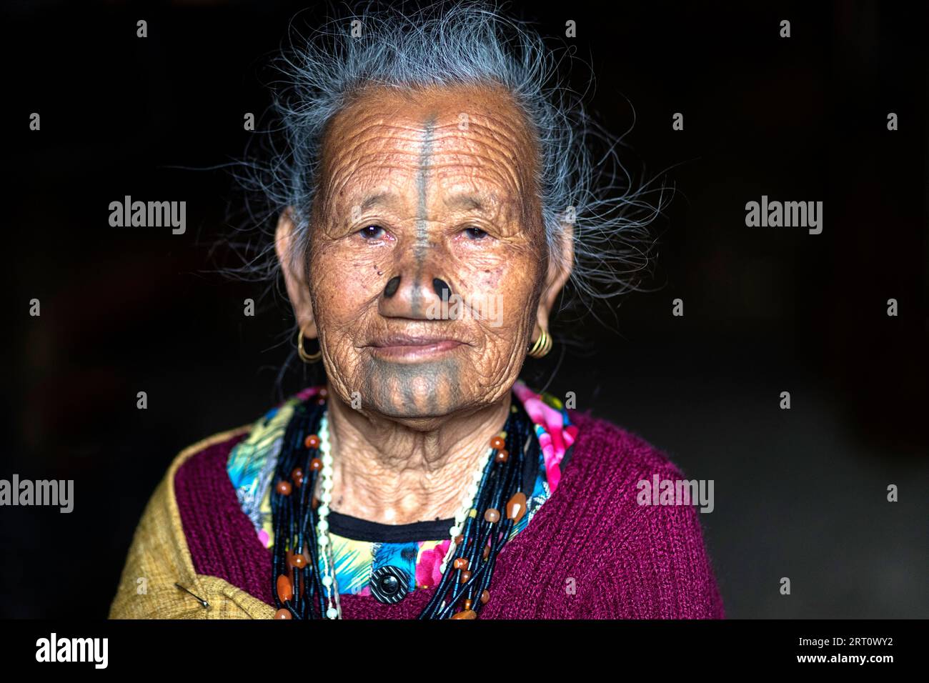 Ritratto di anziana donna tribale di minoranza etnica Apatani indiana con tappi neri in legno e tatuaggi tradizionali per il viso, Arunachal Pradesh, India Foto Stock