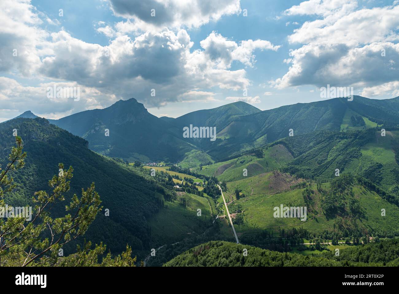 Valle della dolina di Vratna con colline sopra Zbojnicky chodnik nelle montagne di Mala Fatra in Slovacchia Foto Stock