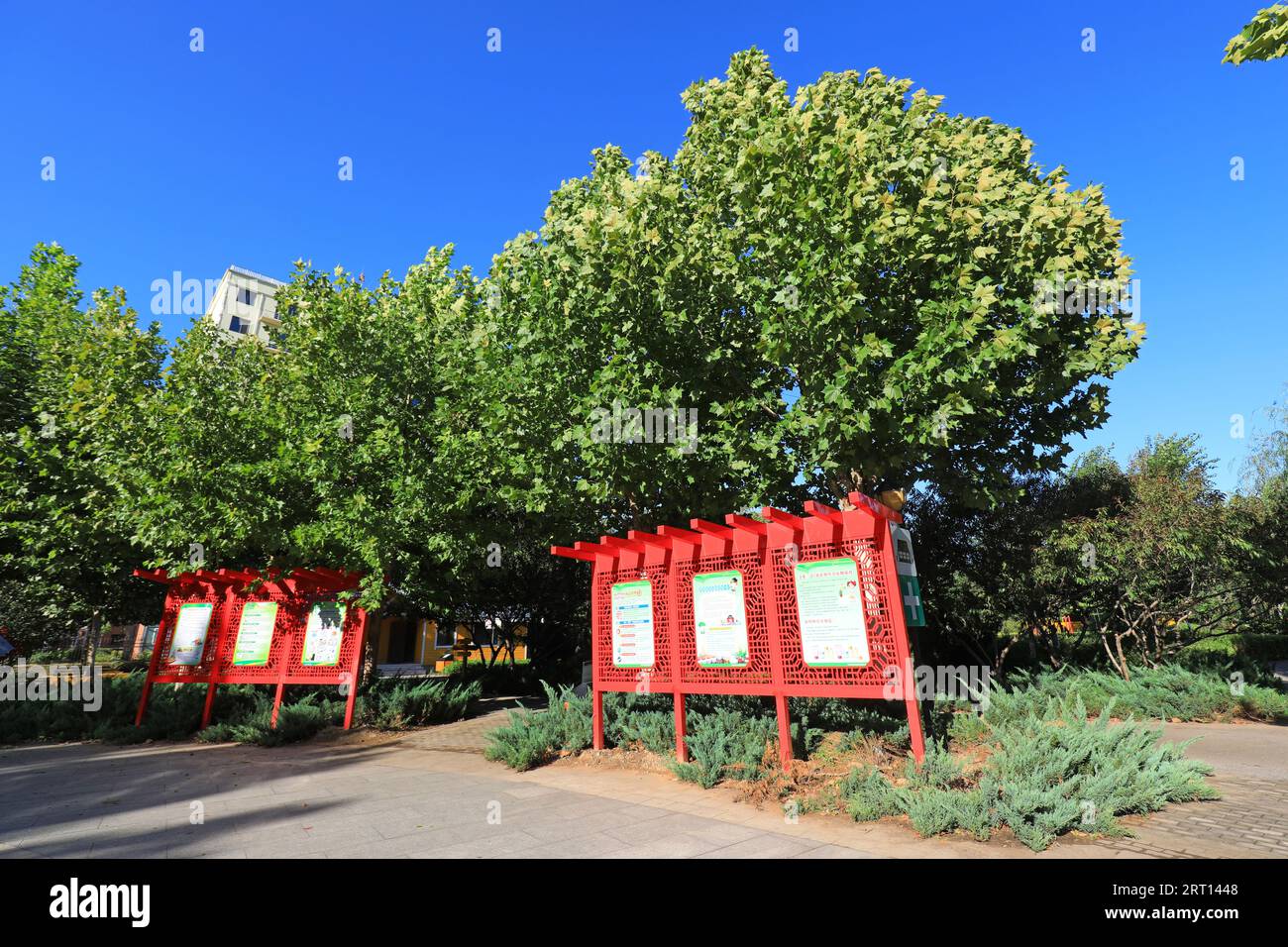 CONTEA DI LUANNAN, provincia di Hebei, Cina - 16 settembre 2020: La finestra pubblicitaria è nel parco Foto Stock