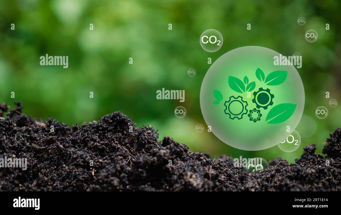 Concetto di riduzione delle emissioni di CO2, ambiente pulito e ecologico senza emissioni di anidride carbonica. Piantando alberi per ridurre le emissioni di CO2, ambientale Foto Stock