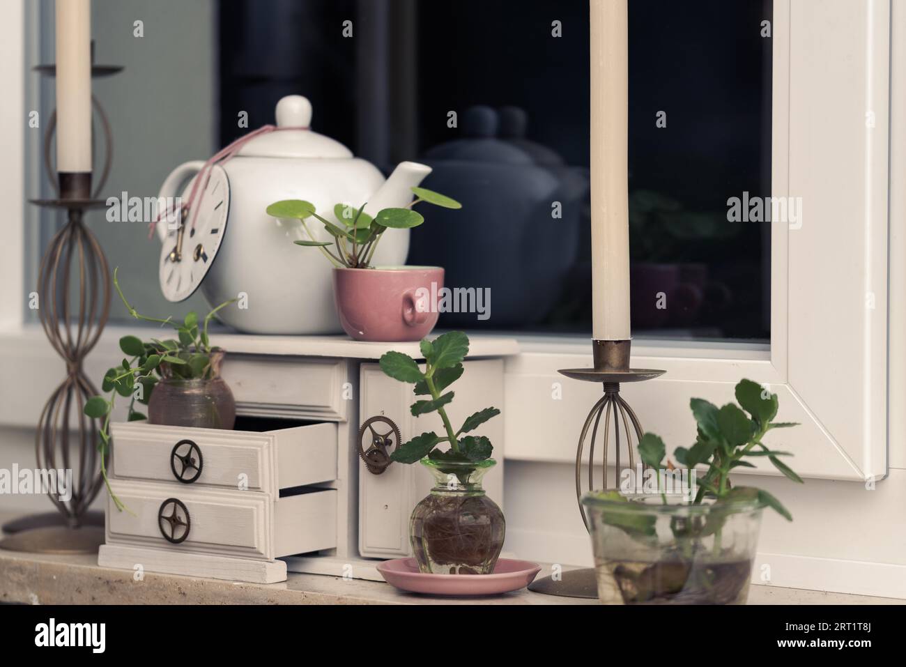 Bella disposizione delle talee delle piante domestiche sulla tavola della finestra decorata con teiera bianca e candelabri su armadietto miniaturizzato con ruote dentate Foto Stock
