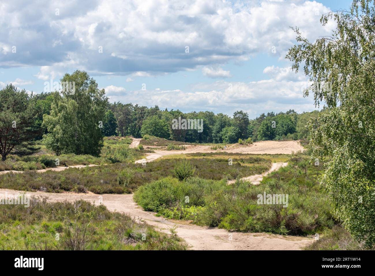 Paesaggio della terrazza centrale nella Wahner Heath Foto Stock