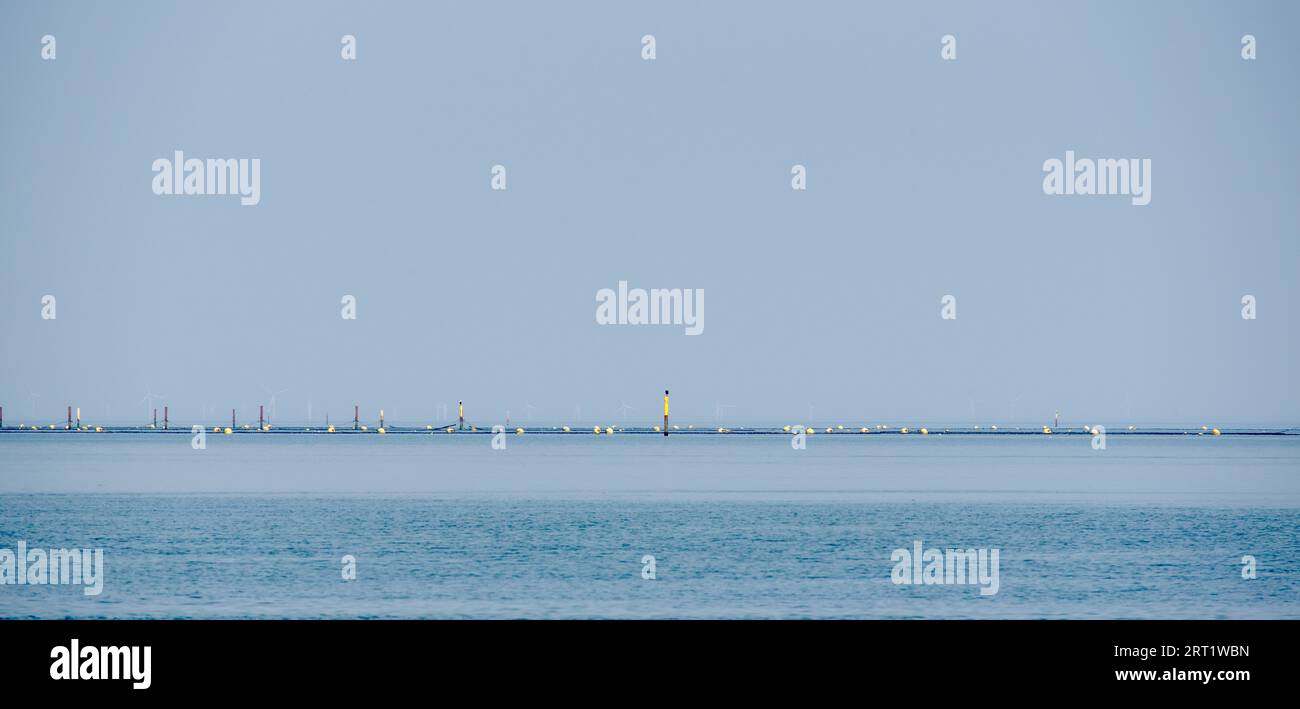 Letti di mitili al largo dell'isola di Sylt Foto Stock