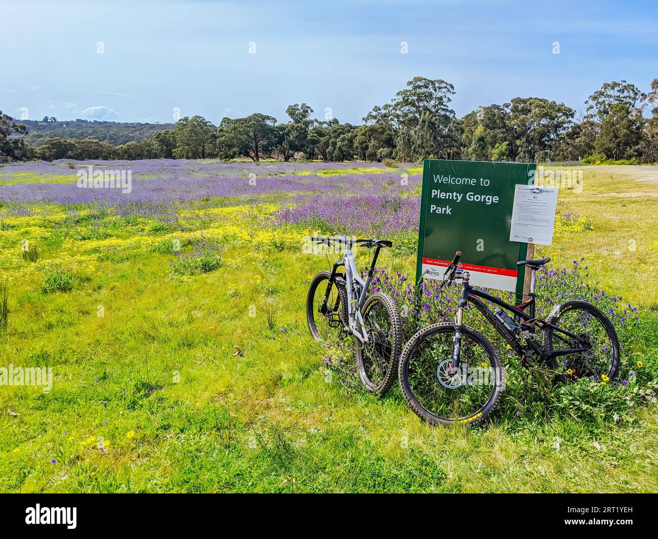 Plenty Gorge, Australia, 19 settembre 2020: Sentieri per mountain bike intorno al Plenty Gorge State Park nel nord di Melbourne a Victoria, Australia Foto Stock