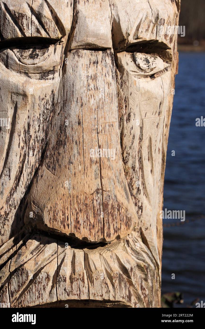Faccia scolpita, fantasia, soleggiata, stagno di fondo Foto Stock