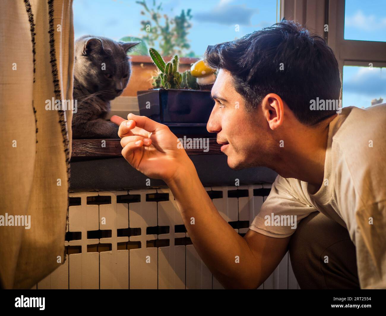 Foto di un giovane bell'uomo che gioca con un gatto grigio vicino a una finestra Foto Stock