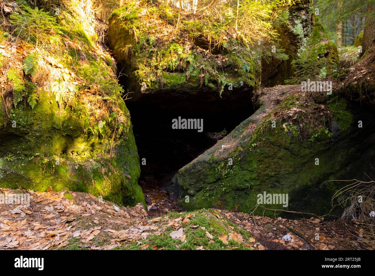 Sentiero escursionistico attraverso lo Schiessgrund nella zona di Schrammstein, nella Svizzera sassone Foto Stock