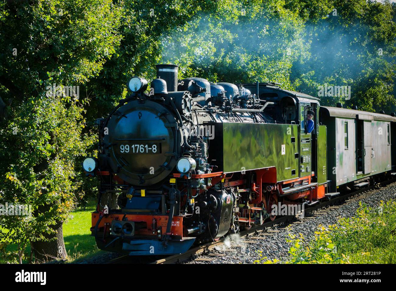 Per il compleanno annuale della linea della Loessnitzgrundbahn, molti treni speciali provenienti da epoche diverse della storia ferroviaria corrono a settembre. La Foto Stock