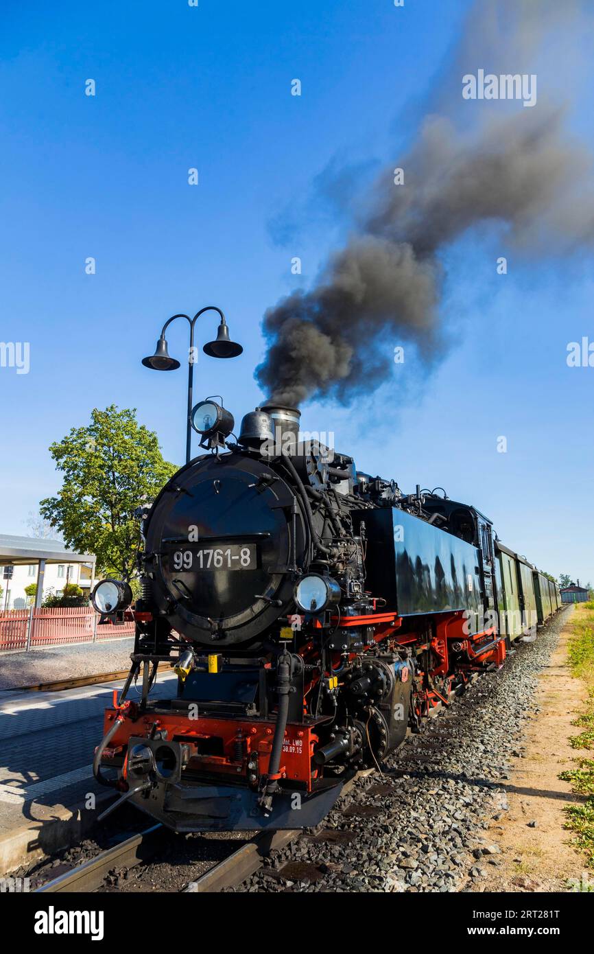 Per il compleanno annuale della linea della Loessnitzgrundbahn, molti treni speciali provenienti da epoche diverse della storia ferroviaria corrono a settembre. La Foto Stock