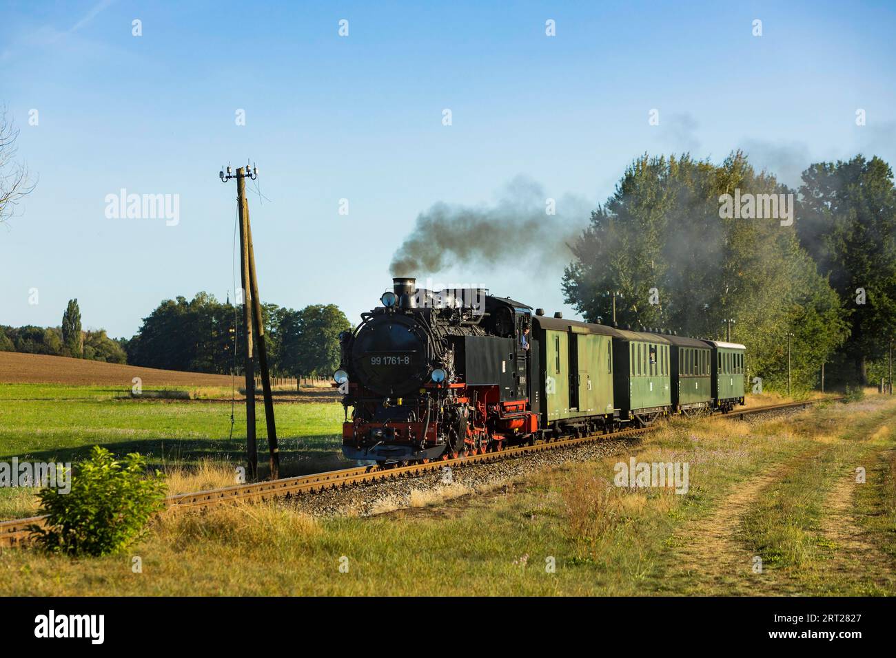 Per il compleanno annuale della linea della Loessnitzgrundbahn, molti treni speciali provenienti da epoche diverse della storia ferroviaria corrono a settembre. La Foto Stock