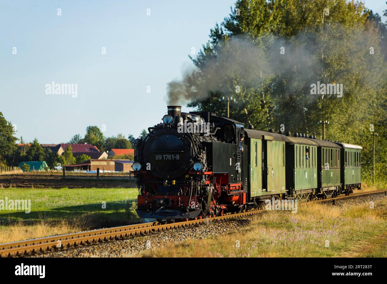 Per il compleanno annuale della linea della Loessnitzgrundbahn, molti treni speciali provenienti da epoche diverse della storia ferroviaria corrono a settembre. La Foto Stock