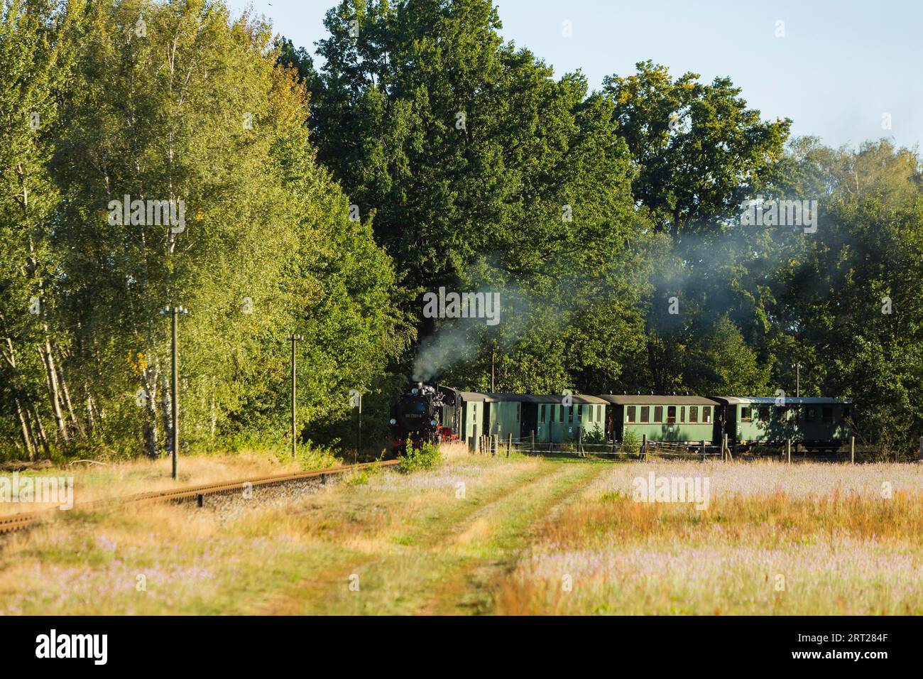 Per il compleanno annuale della linea della Loessnitzgrundbahn, molti treni speciali provenienti da epoche diverse della storia ferroviaria corrono a settembre. La Foto Stock