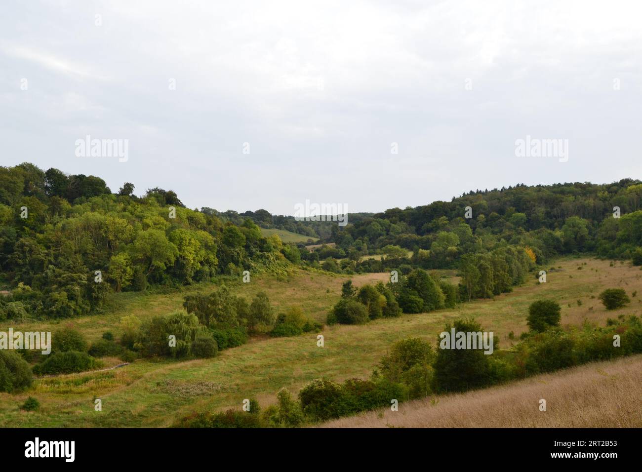 Una vista di Magpie Bottom, Kent, vicino a Shoreham e Sevenoaks, in estate da Austin Spring. Tipica valle di gesso secco, riWilding ex campo da golf, biotuver Foto Stock