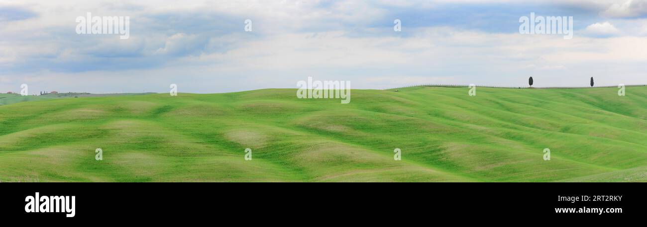 Verdi colline in primavera in Val d'Orcia in Toscana Foto Stock