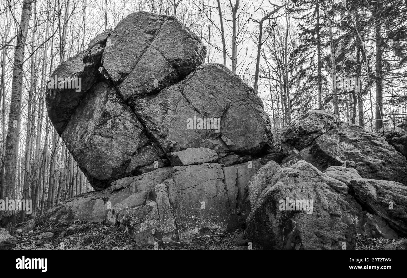 Der Felsen im Wald Foto Stock