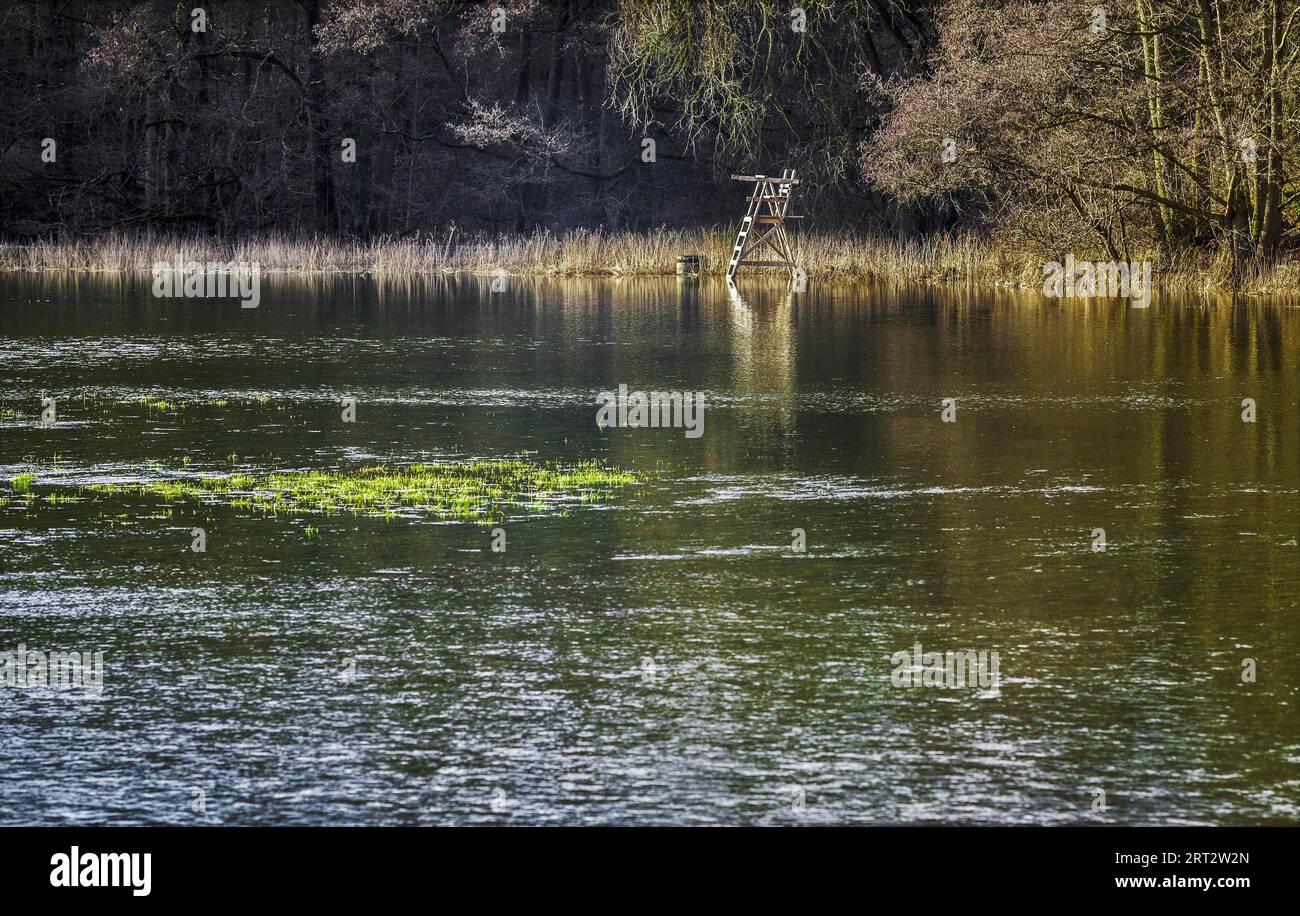 Il Saale è un fiume in Baviera, Turingia e Sassonia-Anhalt. Con una lunghezza di 413 chilometri, è il secondo affluente più lungo dell'Elba dopo Foto Stock