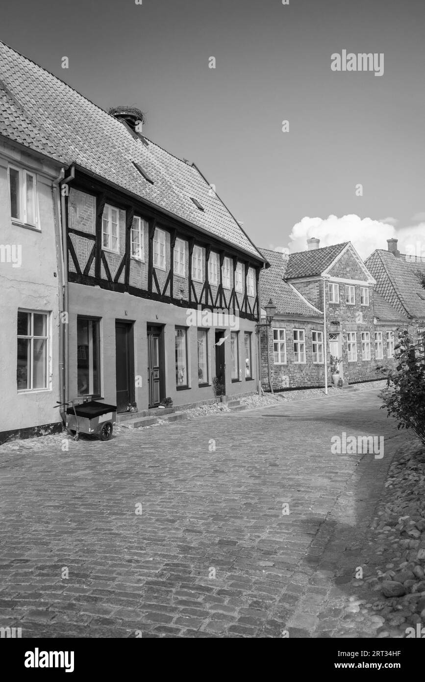 Ribe è la città più antica della Danimarca Foto Stock