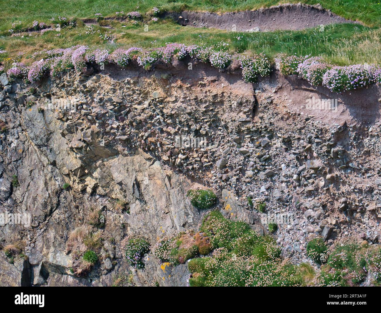 Strati rocciosi esposti nelle scogliere costiere sulla costa rocciosa e aspra dell'Atlantico dell'Isola di Lewis nelle Ebridi esterne, Scozia, Regno Unito. Preso da un sole Foto Stock
