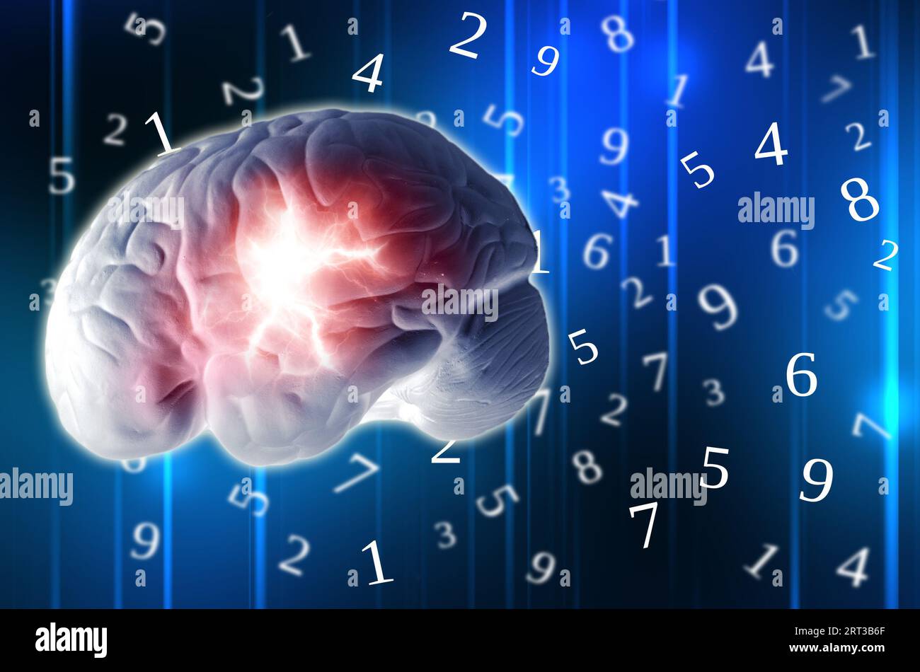 cervello umano e numeri Foto Stock