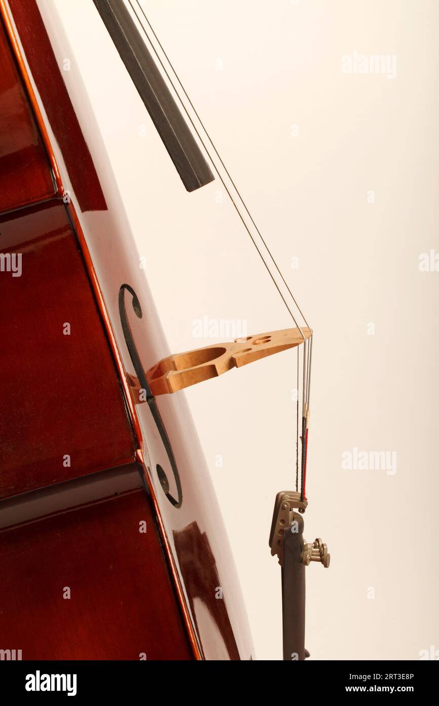 Primo piano del ponte violoncello e delle corde e del foro F a forma di S. Foto Stock