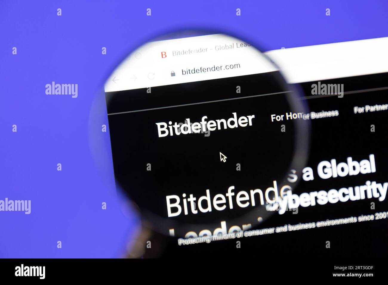 Ostersund, Svezia - Mars 19 2023: Sito Web Bitdefender su schermo di un computer. BitDefender sviluppa e fornisce prodotti e servizi per la sicurezza informatica. Foto Stock
