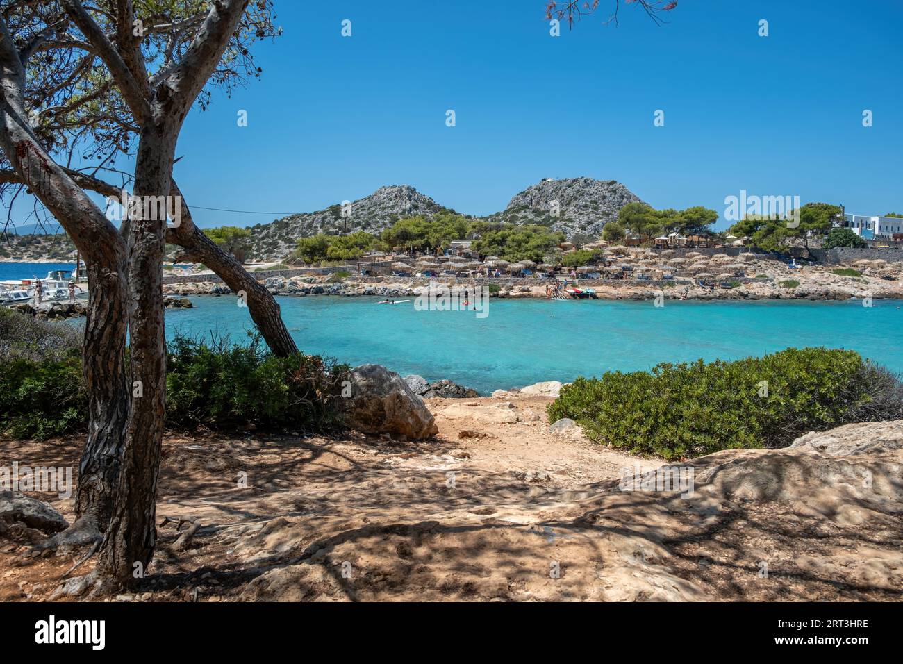 Spiaggia di Aponisos, isola di Agistri, Grecia. Spiaggia rocciosa con pino, la gente nuota nelle acque turchesi del mare, barca ormeggiata, cielo blu, giorno di sole estivo. Foto Stock