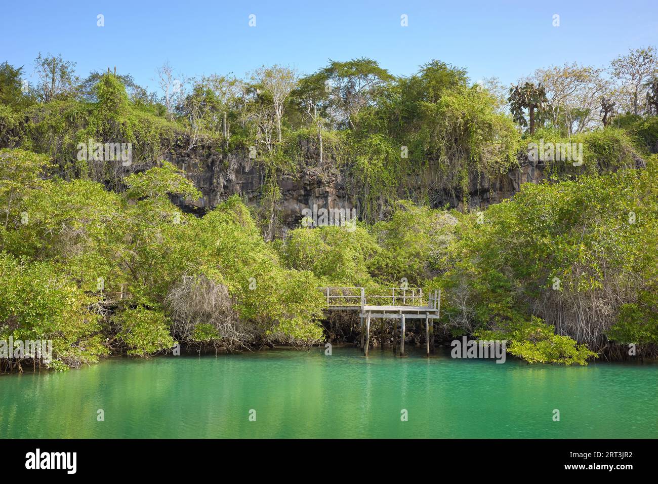 Laguna de las Ninfas sull'isola di Santa Cruz, Galapagos, Ecuador. Foto Stock