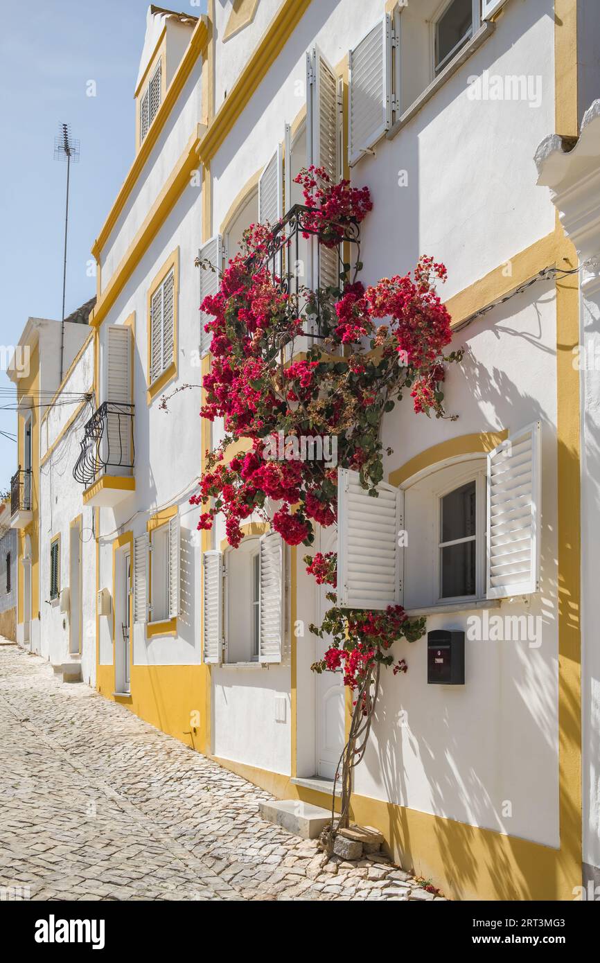 Bella strada con case tradizionali portoghesi con fiori in Portogallo Foto Stock