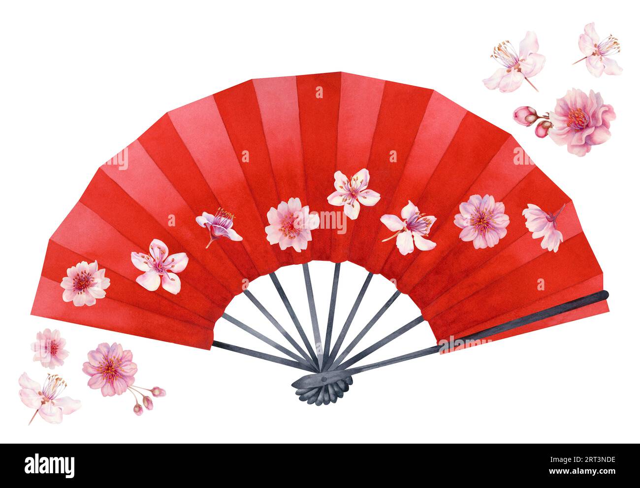 Illustrazione ad acquerello di un ventilatore a mano di carta aperto rosso con fiori di ciliegio. Elemento isolato su sfondo bianco Foto Stock